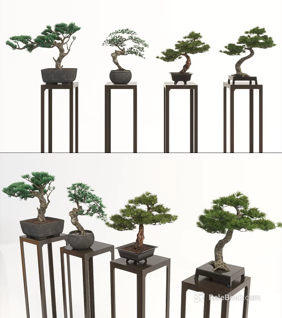 Bonsai Plants With Various Styles On Decorative Stands For Indoor Decoration 3d model 