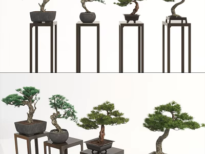 Bonsai Plants With Various Styles On Decorative Stands For Indoor Decoration 3d model