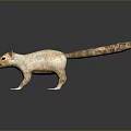 Detailed Light Brown Squirrel Model With Long Tail And Textured Fur On Dark Reflective Surface