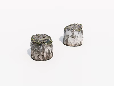 Two Natural Wooden Stumps With Stone Textured Surfaces And Mossy Details 3d model
