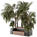 Stylish Outdoor Chair With Lush Palm Trees And Green Plants In Garden Area