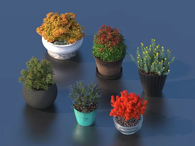 Colorful Bonsai Plants in Various Pots with Vibrant Foliage for Indoor Decoration 3d model