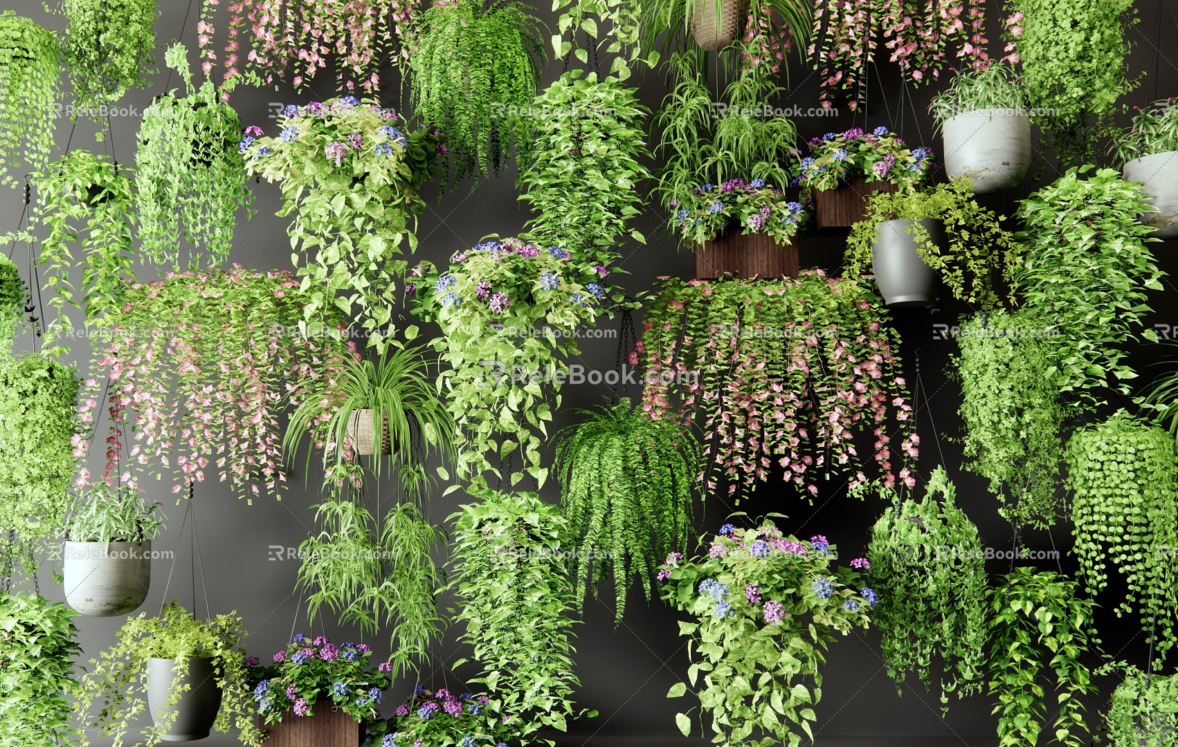 Hanging Basket Plant Potted Plant Green Plant Wall Green Rose Morning glory Vine 3d model