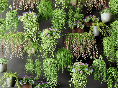 Indoor Wall Decor With Various Hanging Basket Plants Purple Flowers And Trailing Vines 3d model