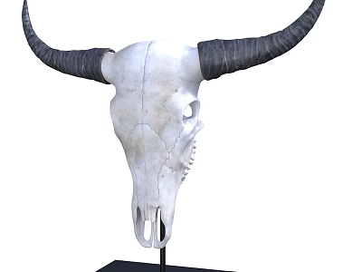 Rustic Bull Skull Wall Decor as Unique Home Interior Hanging Ornament 3d model