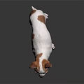 Cute White And Brown Spotted Chihuahua Standing On Shiny Dark Surface 3d model