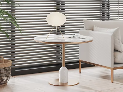 Round Side Table With Gold Metal Frame White Globe Lamp Open Book And White Sofa 3d model