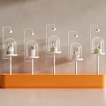 Shop Window Display Featuring Five Glass Cloches on White Stands with Orange Base
