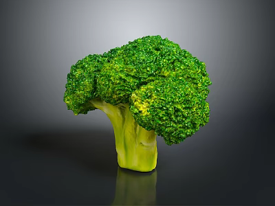 Fresh Green Broccoli with Tree Like Shape and White Stem on Gray Background 3d model