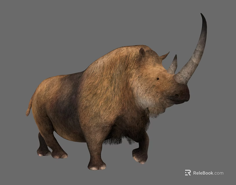 Shaggy Brown Prehistoric Rhinoceros With Large Curved Horn And Stocky Body 3d model 