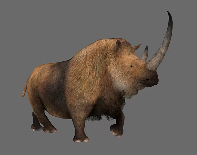 Modern rhinoceros long-haired rhinoceros 3d model