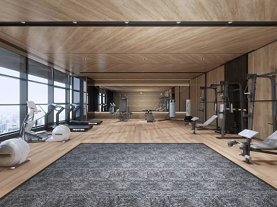 Modern Fitness Gym With Various Workout Equipment And Spacious Wooden Interior 3d model