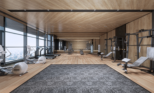 Modern Gym 3d model