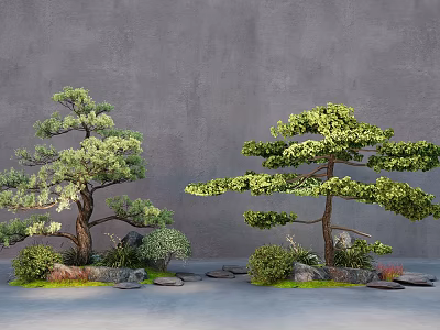Two Lush Ornamental Trees With Stones and Small Shrubs Against Gray Wall 3d model