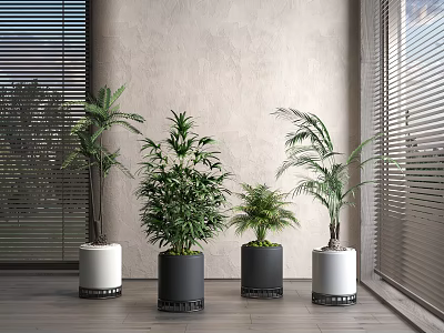 Modern Potted Plant 3d model