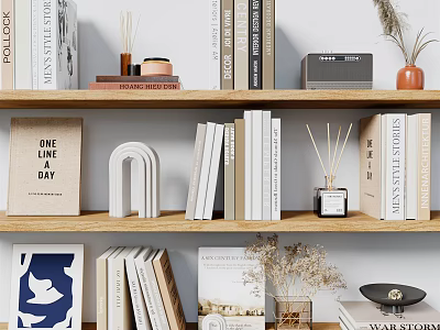 Stylish Decorative Ornament Combinations with Books Art Prints and Dried Flowers on Wooden Shelves 3d model