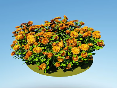 Orange Flowers With Green Leaves In Dense Circular Cluster Against Blue Background 3d model