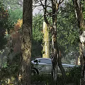 Serene Park Landscape With Tall Trees White Car And Natural Forest Surroundings