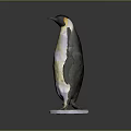Standing Penguin Model With Yellow White Black Feathers On White Base
