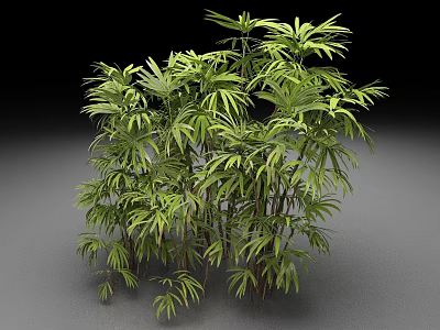 Lush Green Indoor Plant With Palmate Leaves And Dense Tropical Foliage 3d model