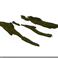 Dried Green Seaweed Strips with Natural Texture as Healthy Snack Option