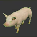 Pink Pig Standing on Smooth Surface Against Gray Background with Clear Reflection 3d model