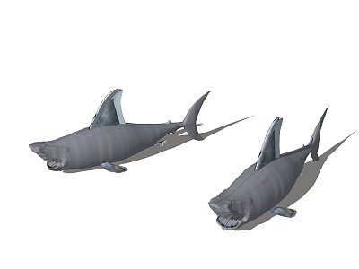 modern shark animal deep sea animal model