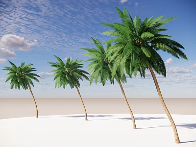 Tall Palm Trees Standing On Sandy Beach Under Blue Sky With White Clouds 3d model