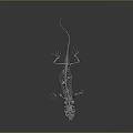 Scientific 3D Rendered Detailed Lizard Skeleton Anatomical Structure On Dark Background