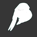 White Animal Skull With Large Curved Tusks And Bone Structure On Dark Background