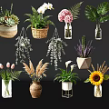 Diverse Flower Vases with Orchids Sunflowers Tulips and Succulents in Glass Ceramic and Woven Designs