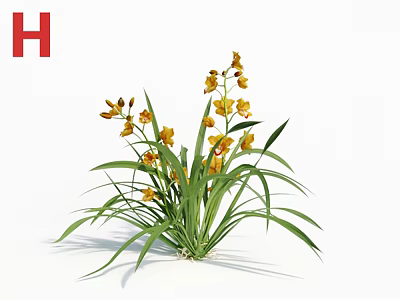 Vibrant Yellow Flowers With Fresh Green Leaves In Natural Plant Arrangement 3d model