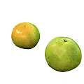 Fresh Yellow and Green Citrus Fruits Displayed on White Background