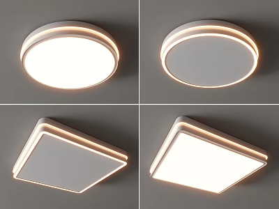 Round And Square Ceiling Lights Illuminated And Non Illuminated 3d model