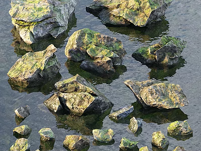 Moss Covered Rocks and Natural Wood in Water with Reflective Surfaces and Smooth Edges 3d model