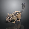 Striped Squirrel With Long Tail Standing On Black Background With Reflection