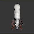 White Moose With Large Red Antlers Standing On Dark Background