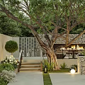 Modern Courtyard Garden With Outdoor Sofa Fire Pit Large Tree Stone Wall And Greenery