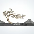 Natural Garden Decor With Curved Pine Tree Rocks And Sandy Ground 3d model