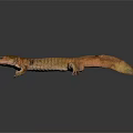 Realistic Brown Salamander With Detailed Skin Texture And Limbs On Dark Background
