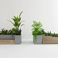 Outdoor Landscape Seating With Wooden Benches And Lush Green Plants