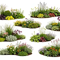 Diverse Garden Flower Combinations With Purple Lavender Yellow Daisies And Green Succulents