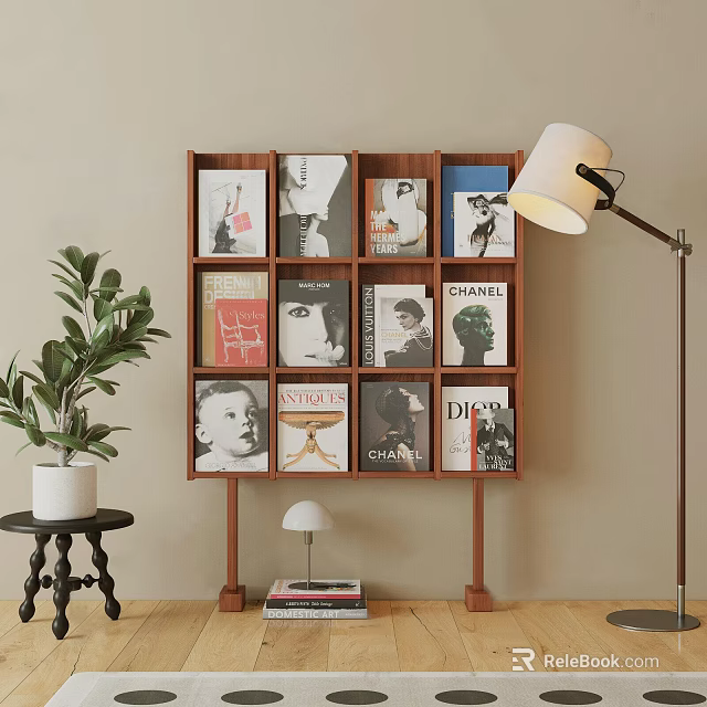 Wooden Display Shelf with Brand Magazines Books Potted Plant and Floor Lamp in Living Room 3d model 