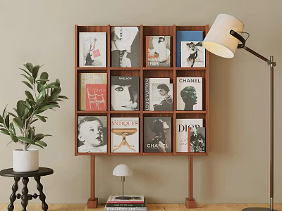 Wooden Display Shelf with Brand Magazines Books Potted Plant and Floor Lamp in Living Room 3d model