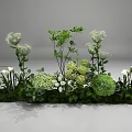 Lush Green Shrubs With White Flowers And Leafy Plants Garden