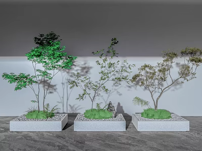 Bonsai Plants In Three Square White Pots With Various Shaped Trees And Gray Background 3d model