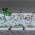 Bonsai Plants In Three Square White Pots With Various Shaped Trees And Gray Background