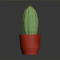 Green Cactus with Yellow Spines in Red Pot on Gray Background