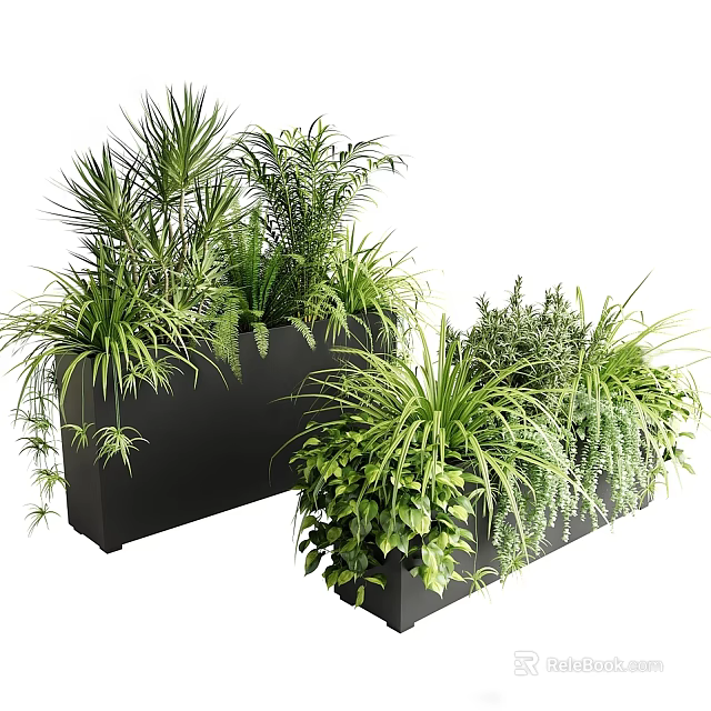 Modern Black Rectangular Planters Filled With Lush Diverse Green Plants 3d model