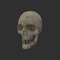 Handcrafted Realistic Human Skull Stone Sculpture Carving With Detailed Texture